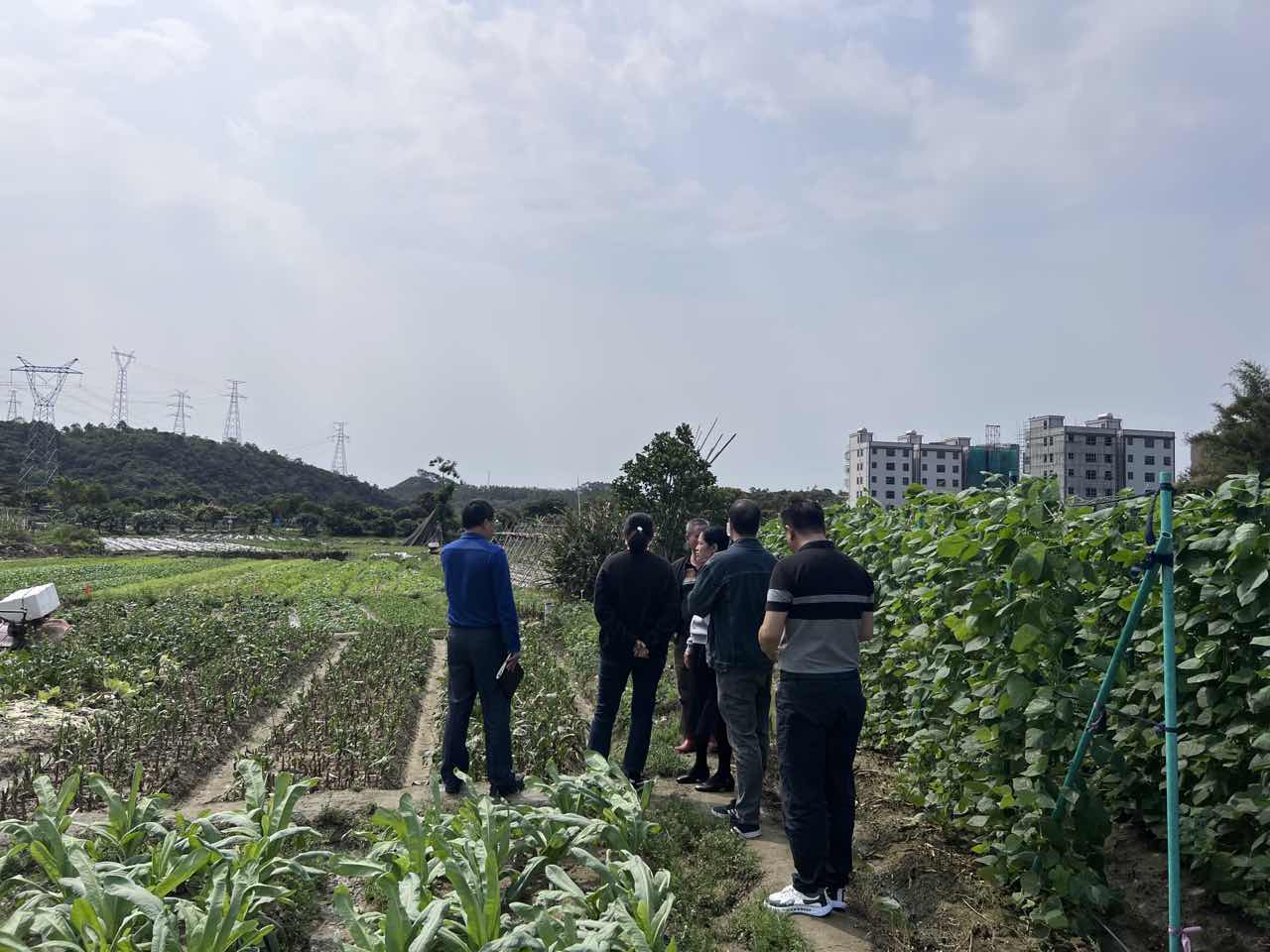 圖片2.jpg