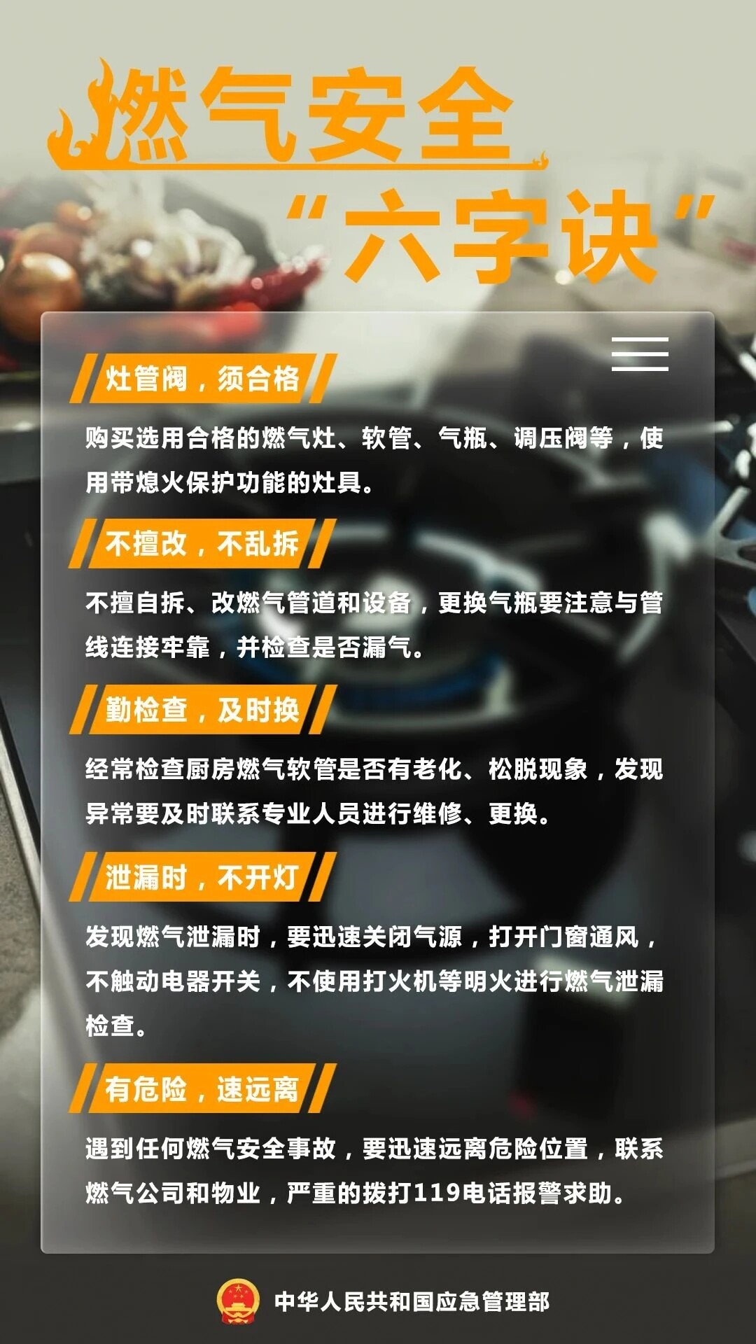 燃?xì)獍踩衷E.docx_2