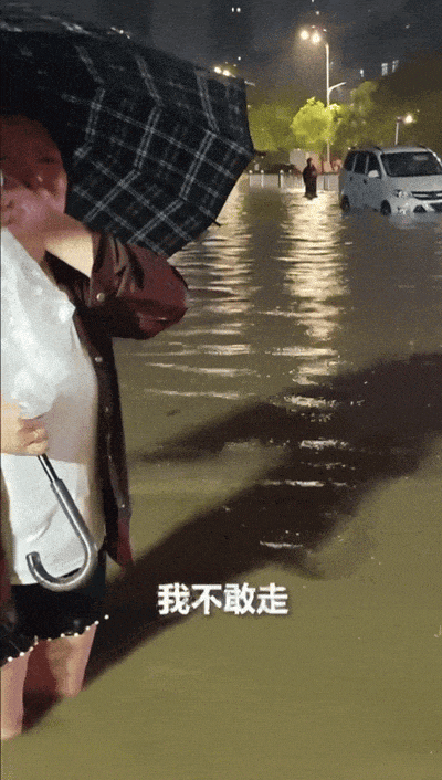 13e6549270e7b8e81c1d.gif