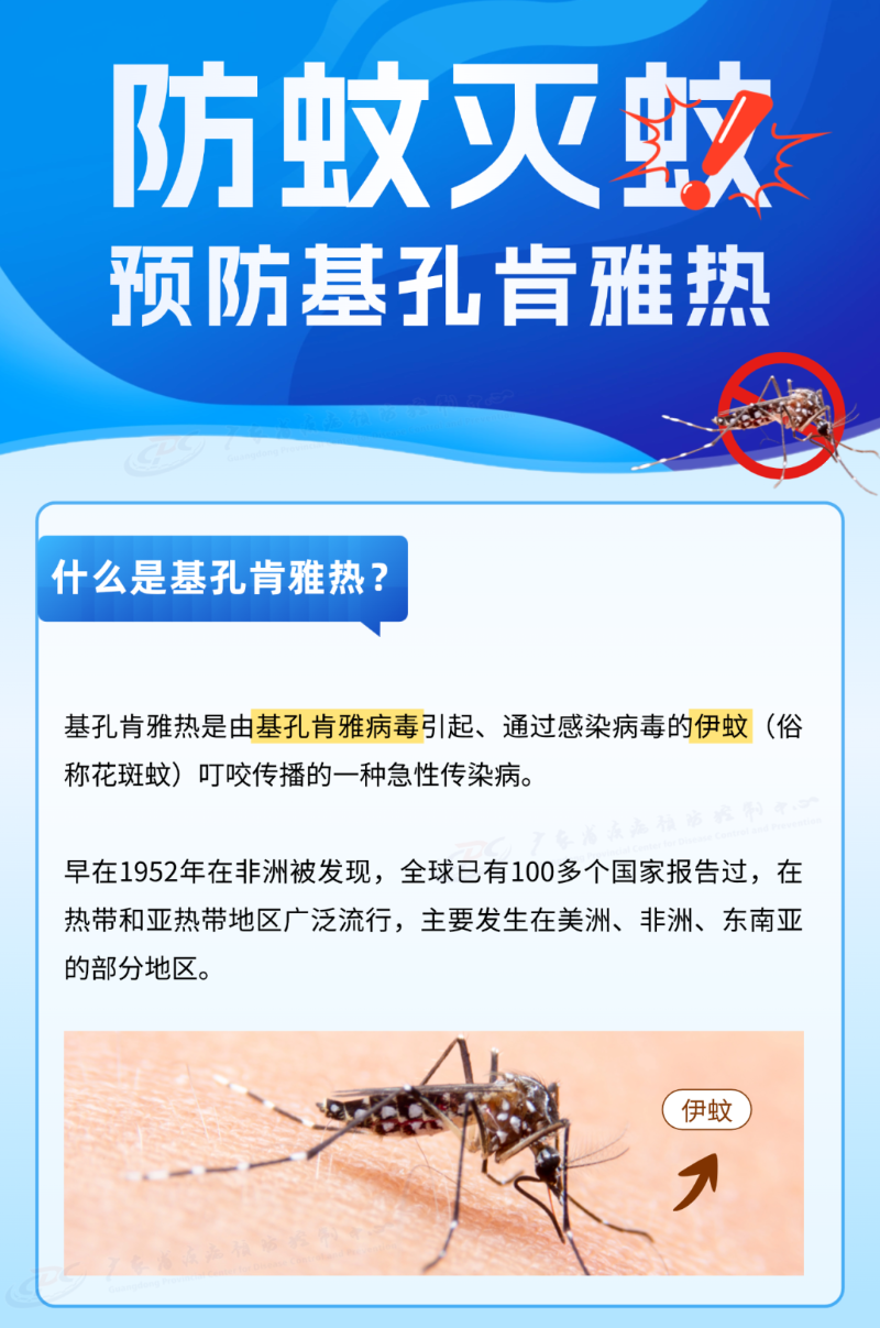 d8ee62f649263b868fe4.png